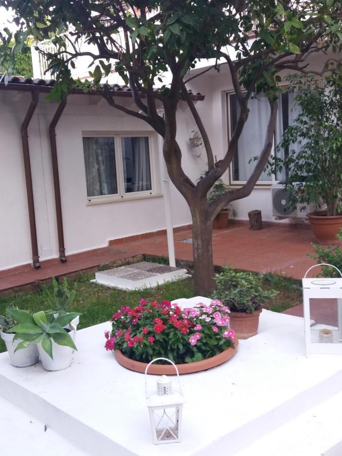 Casa Agrumeto - Locazione Turistica Mondello Eksteriør billede