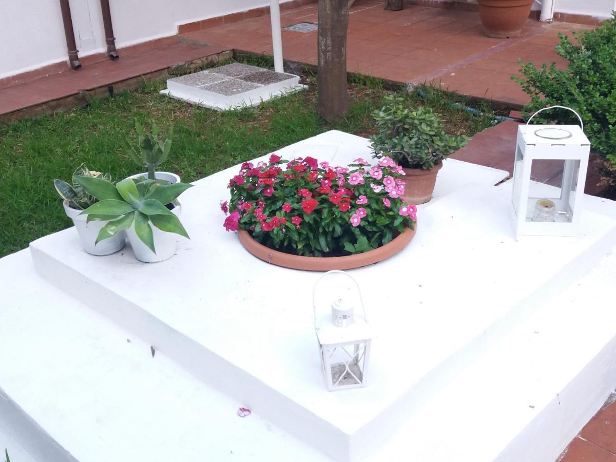 Casa Agrumeto - Locazione Turistica Mondello Eksteriør billede