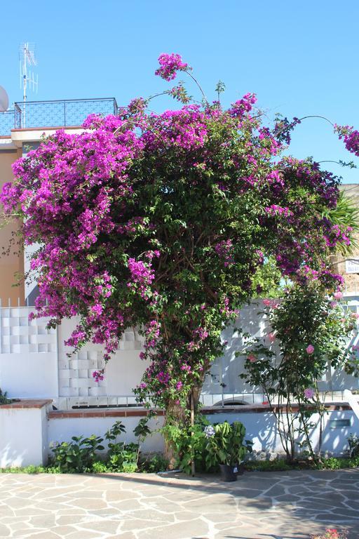 Casa Agrumeto - Locazione Turistica Mondello Værelse billede