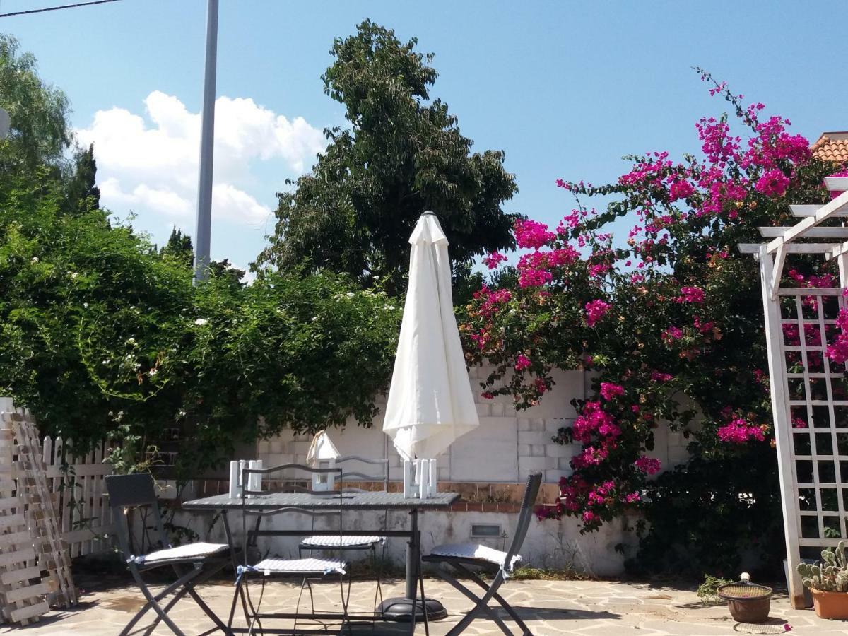 Casa Agrumeto - Locazione Turistica Mondello Eksteriør billede