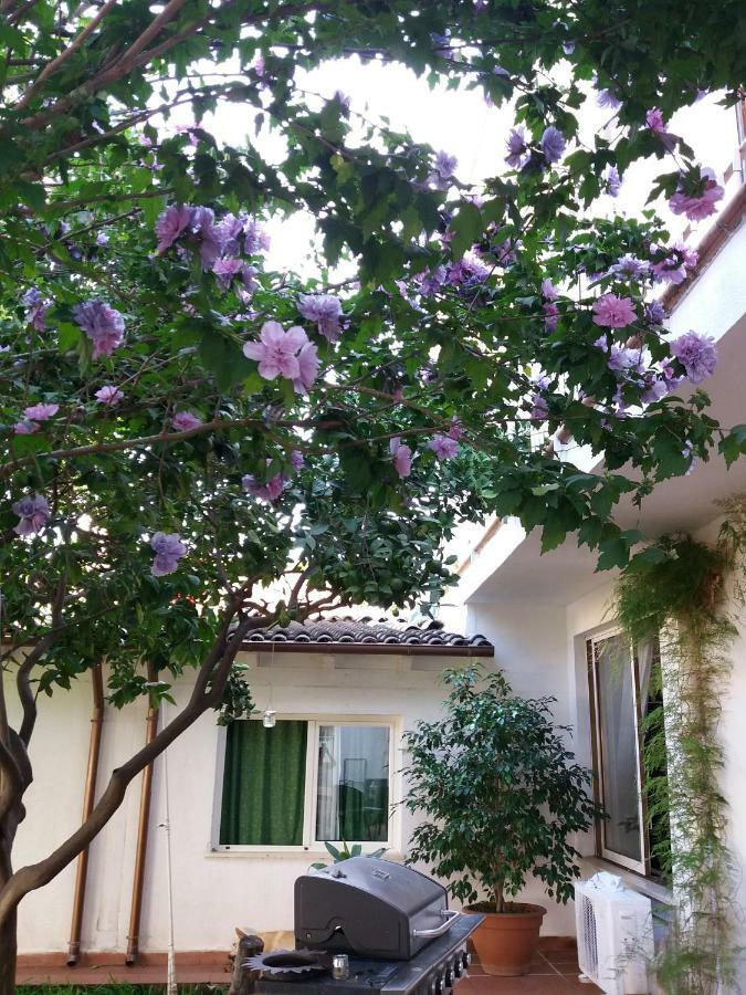 Casa Agrumeto - Locazione Turistica Mondello Eksteriør billede