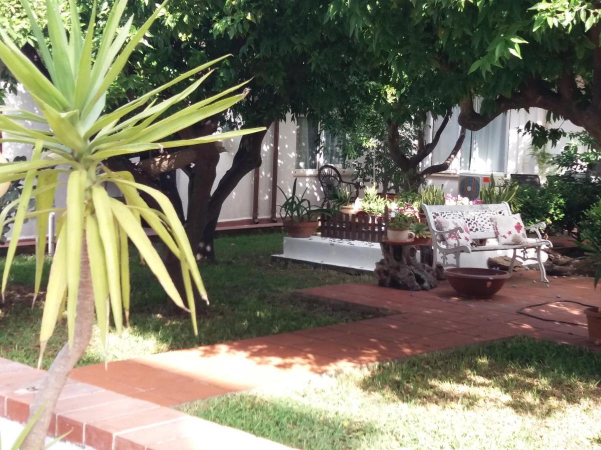 Casa Agrumeto - Locazione Turistica Mondello Eksteriør billede